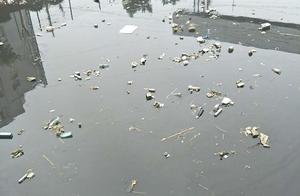 Harbor of area Min Hang Home Cao blackens overnight river side rubbish is spread all over