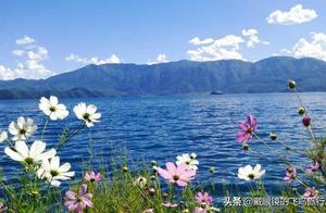 Take beloved person, go together Lu buy lake, attend the sumptuous dinner that mulberry of a case sp