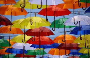 Be breathtaking! Are 1000 knives worth apple of th