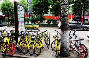 Xi'an is severe accuse to share bicycle to enter 