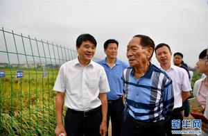 The patriotic feelings in a paddy -- write down 