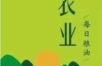 Not dread wheat holds city in the palm to buy the 