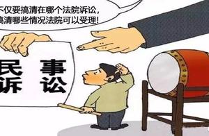 Check Piao 2019 collect edition: The civil case to