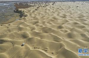 One pace chiliad, "Final desert is tribal " ingo