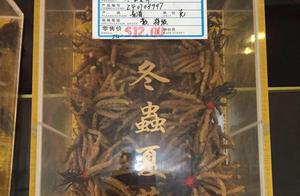 Colleague hall sells blame of Chinese caterpillar fungus is produced oneself, do not form con? One c