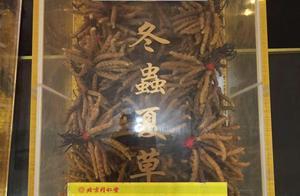 Colleague hall sells blame of Chinese caterpillar 