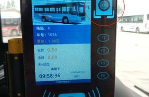 Mound south sweep an one cent money to sit public transportation? Came, came!