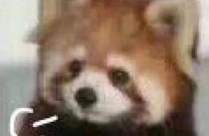 Man of 6 a period of ten days at the same time fish 3 kinds of cancer! His habits and customs, you a