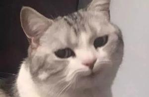 Arrive again check-up season! These 9 kinds of dis