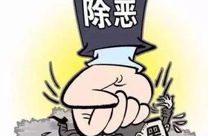 Harbor gangdom property organizes crime, public se