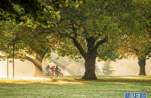 The island austral New Zealand breaths out division profit park