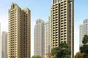 Chaos of intermediary of Shandong punish estate is