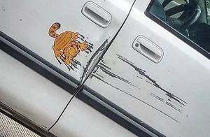 Is traffic accident spot returned can so play? Net