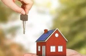 Shandong reports first violating intermediary of c