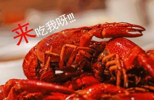 Do not eat again such, it is bug completely! Fast tell family!
