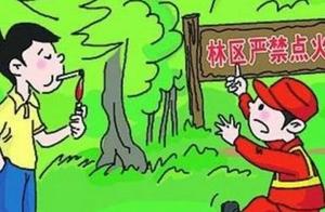 With static county: Gong Naisi forest zone enters 