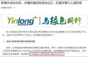 Dong Mingzhu hits out: Large stockholder of silver-colored grand new energy resources be suspected o