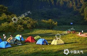 Asinine friend looks surely! Bivouac encounters so