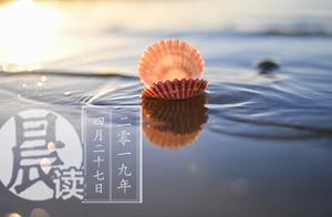 Morning reads ｜ much branch market of special punis