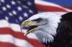 American hawkish is peculiar complaint: China a li