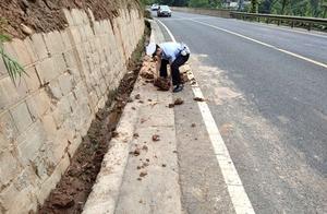 Newspaper! The elegant hill that install reed prod