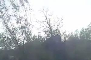 Accident of establishment of two days of two You L