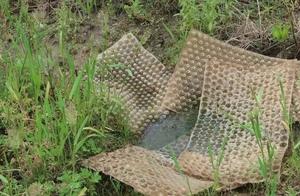 "Cast fry " brought rural plastic pollution nots