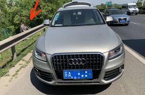 High speed road is violated stop dig potherb, car 