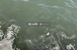 51 holiday, west lake white bank this paragraph, m