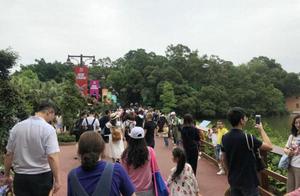 51 travel consume Zhang sheet: Most expenditure of fosse city average per capita exceeds 3000 yuan,