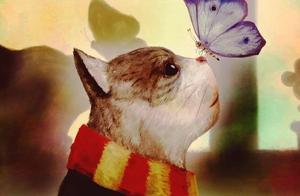 Officinal enterprise explodes repeatedly in scanda