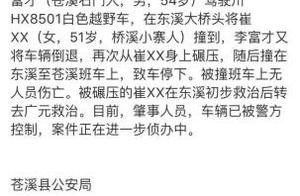 Brook of Sichuan dark green produces driver of cause trouble of malign traffic accident one case to