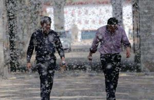 Those who let Chinese angst poplar garrulous backs