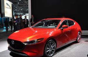 Brand-new generation horse is amounted to oneself 