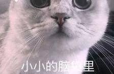 What circumstance? Beijing bought a room to live n