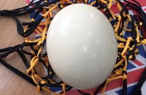 "The Beginning of Summer eats an egg, effort is l