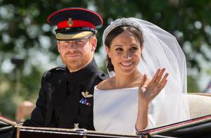 Was born eventually! Princess of British plum root