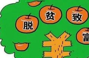 3 brooks Tian Xicun: Pocket rouses villager laugh