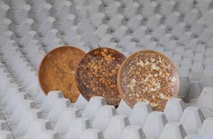 Can overdue egg still do divine horse? Stylist loo