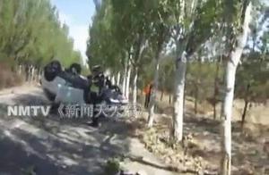 Alarmingly dangerous! Strike 4 large trees repeate