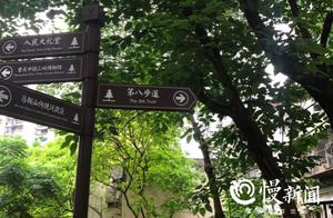 See | Tile of red wall blueness, old tree is very 