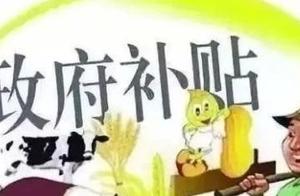 Agricultural policy allowance is not taken, should