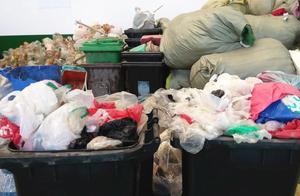 Shanghai is announced can reclaim content " detai