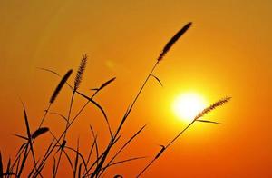 The person with bad bearing, have these a few features, scarcely wants to be handed in greatly!