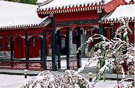 Intellectual property major is light a yearly sala