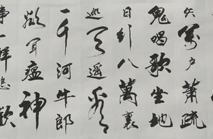 Calligraphy of 72 years old of old gentlemen is admired, folk lies Hu Canglong!