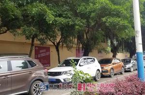 Handed in around Liuzhou zoo stop fare, be stuck t