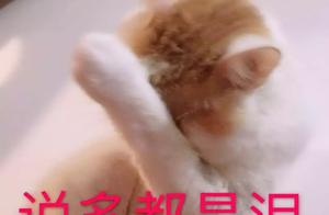 Noticed! Touch porcelain to give new device again,