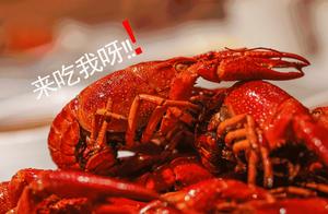 3 bright people do not eat again such, it is bug completely!