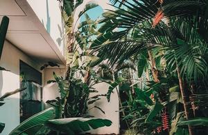 Life is not easy, joy goes!